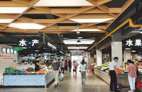 杭州五区县荣膺省级示范，引领日用品与办公用品销售新风尚